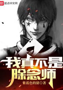 猎人:我真不是除念师